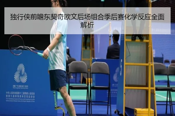 独行侠前瞻东契奇欧文后场组合季后赛化学反应全面解析